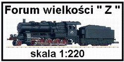 Modelarstwo kolejowe wielkości  Z -1:220